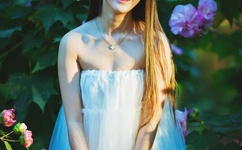 新岳乱合集目录伦200